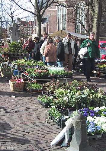 bloemenmarkt Noordermarkt