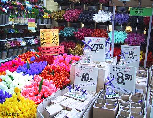 ripoff bloemenmarkt Singel, tulpen