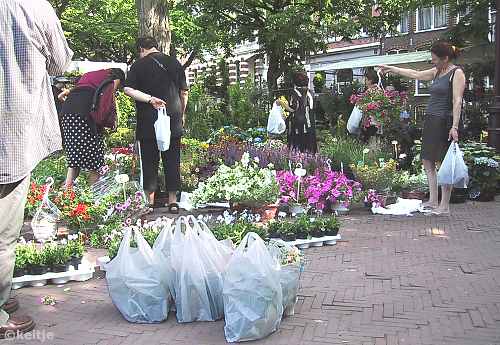 plantenmarkt Amstelveld