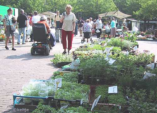 plantenmarkt Amstelveld