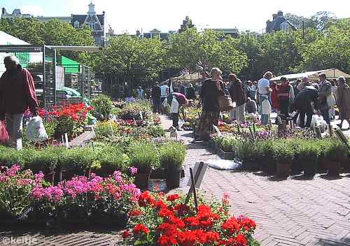 plantenmarkt Amstelveld