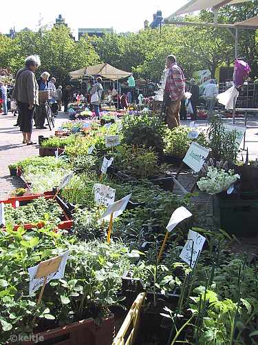 plantenmarkt Amstelveld