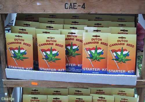 ripoff bloemenmarkt Singel, wiet starterskit