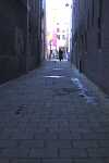 turd alley